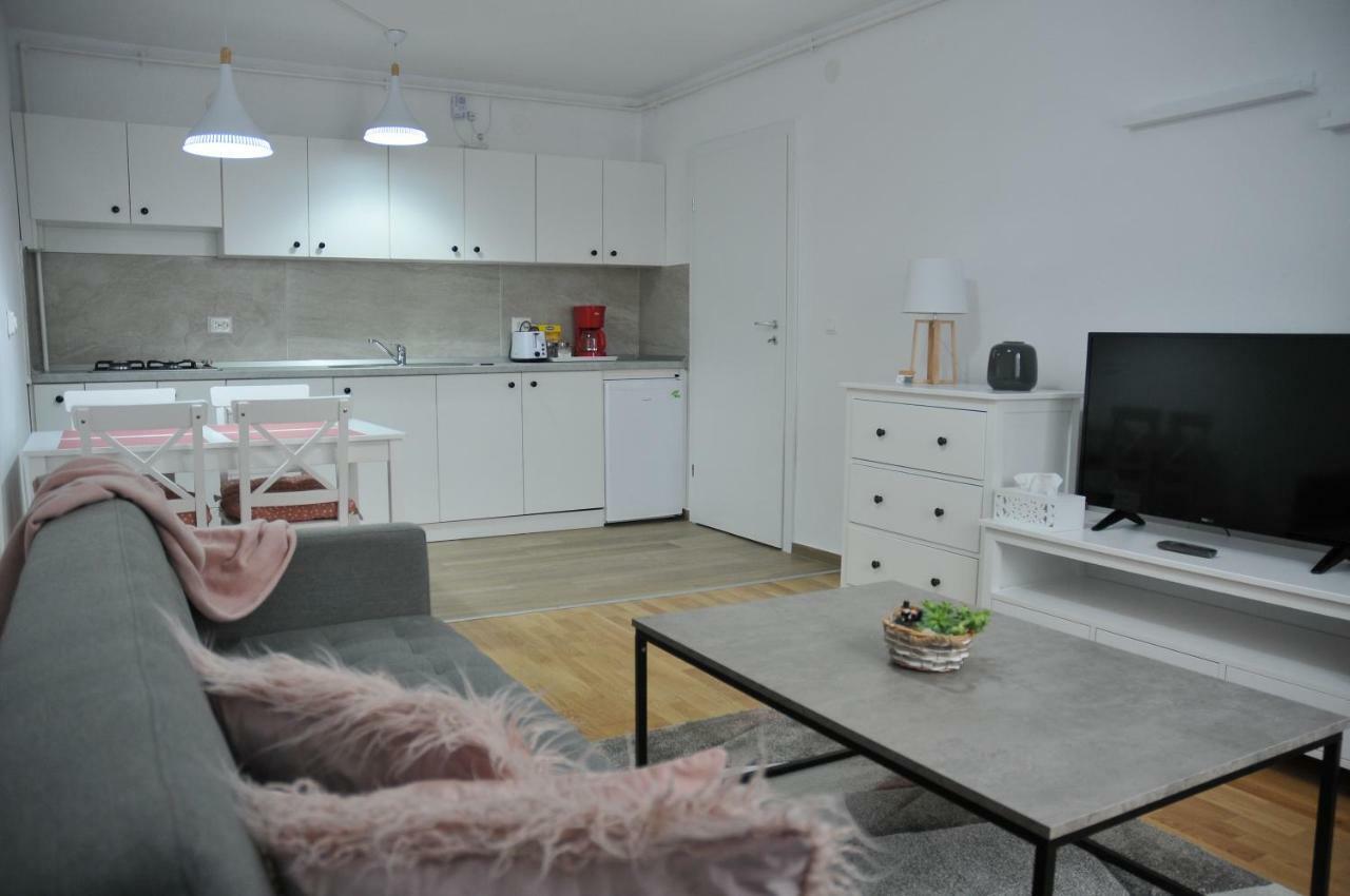 Ana Cristina Apartament Sighisoara Bagian luar foto